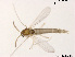  ( - XL1059)  @11 [ ] CreativeCommons - Attribution Non-Commercial Share-Alike (2018) Xiaolong Lin College of Life Sciences, Nankai University