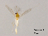  ( - XL1078)  @11 [ ] CreativeCommons-Attribution Non-Commercial Share-Alike (2020) Xiaolong Lin Nankai University, College of Life Sciences