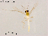  ( - XL1107)  @11 [ ] CreativeCommons-Attribution Non-Commercial Share-Alike (2020) Xiaolong Lin Nankai University, College of Life Sciences