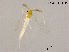  ( - XL1108)  @11 [ ] CreativeCommons-Attribution Non-Commercial Share-Alike (2020) Xiaolong Lin Nankai University, College of Life Sciences