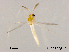  ( - XL1111)  @11 [ ] CreativeCommons-Attribution Non-Commercial Share-Alike (2020) Xiaolong Lin Nankai University, College of Life Sciences