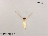 ( - XL1142)  @11 [ ] CreativeCommons-Attribution Non-Commercial Share-Alike (2020) Xiaolong Lin Nankai University, College of Life Sciences