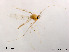  ( - XL1154)  @12 [ ] CreativeCommons - Attribution Non-Commercial Share-Alike (2019) Xiaolong Lin College of Life Sciences, Nankai University