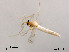  ( - XL1156)  @13 [ ] CreativeCommons - Attribution Non-Commercial Share-Alike (2019) Xiaolong Lin College of Life Sciences, Nankai University
