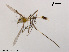  ( - XL1163)  @11 [ ] CreativeCommons - Attribution Non-Commercial Share-Alike (2018) Xiaolong Lin College of Life Sciences, Nankai University