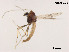  ( - XL1167)  @11 [ ] CreativeCommons - Attribution Non-Commercial Share-Alike (2019) Xiaolong Lin College of Life Sciences, Nankai University