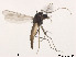  ( - XL1191)  @11 [ ] CreativeCommons - Attribution Non-Commercial Share-Alike (2019) Xiaolong Lin College of Life Sciences, Nankai University