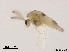  ( - XL1351)  @11 [ ] CreativeCommons - Attribution Non-Commercial Share-Alike (2019) Xiaolong Lin College of Life Sciences, Nankai University