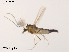  ( - XL1381)  @13 [ ] CreativeCommons - Attribution Non-Commercial Share-Alike (2019) Xiaolong Lin College of Life Sciences, Nankai University