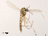  ( - XL1401)  @11 [ ] CreativeCommons - Attribution Non-Commercial Share-Alike (2019) Xiaolong Lin College of Life Sciences, Nankai University