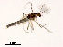  ( - XL1464)  @11 [ ] CreativeCommons - Attribution Non-Commercial Share-Alike (2019) Xiaolong Lin College of Life Sciences, Nankai University