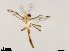  ( - XL1500)  @11 [ ] CreativeCommons - Attribution Non-Commercial Share-Alike (2018) Xiaolong Lin College of Life Sciences, Nankai University