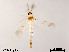  ( - XL1540)  @12 [ ] CreativeCommons - Attribution Non-Commercial Share-Alike (2019) Xiaolong Lin College of Life Sciences, Nankai University