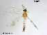  ( - XL1580)  @13 [ ] CreativeCommons - Attribution Non-Commercial Share-Alike (2019) Xiaolong Lin College of Life Sciences, Nankai University