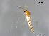  ( - XL1581)  @12 [ ] CreativeCommons - Attribution Non-Commercial Share-Alike (2019) Xiaolong Lin College of Life Sciences, Nankai University