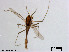  (Neozavrelia - XL1599)  @13 [ ] CreativeCommons - Attribution Non-Commercial Share-Alike (2019) Xiaolong Lin College of Life Sciences, Nankai University