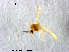  ( - XL1628)  @11 [ ] CreativeCommons - Attribution Non-Commercial Share-Alike (2019) Xiaolong Lin College of Life Sciences, Nankai University