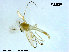  ( - XL1636)  @12 [ ] CreativeCommons - Attribution Non-Commercial Share-Alike (2019) Xiaolong Lin College of Life Sciences, Nankai University
