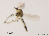  ( - XL1672)  @13 [ ] CreativeCommons - Attribution Non-Commercial Share-Alike (2019) Xiaolong Lin College of Life Sciences, Nankai University