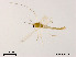  ( - XL1673)  @12 [ ] CreativeCommons - Attribution Non-Commercial Share-Alike (2019) Xiaolong Lin College of Life Sciences, Nankai University