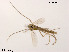  ( - XL1786)  @11 [ ] CreativeCommons - Attribution Non-Commercial Share-Alike (2019) Xiaolong Lin College of Life Sciences, Nankai University