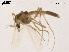  ( - XL1822)  @11 [ ] CreativeCommons - Attribution Non-Commercial Share-Alike (2019) Xiaolong Lin College of Life Sciences, Nankai University