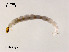  ( - XL1966)  @11 [ ] CreativeCommons - Attribution Non-Commercial Share-Alike (2019) Xiaolong Lin College of Life Sciences, Nankai University