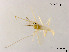  ( - XL2001)  @11 [ ] CreativeCommons - Attribution Non-Commercial Share-Alike (2019) Xiaolong Lin College of Life Sciences, Nankai University