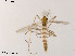  ( - XL2011)  @11 [ ] CreativeCommons - Attribution Non-Commercial Share-Alike (2019) Xiaolong Lin College of Life Sciences, Nankai University