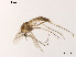  ( - XL2012)  @11 [ ] CreativeCommons - Attribution Non-Commercial Share-Alike (2019) Xiaolong Lin College of Life Sciences, Nankai University
