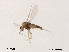  ( - XL2031)  @11 [ ] CreativeCommons - Attribution Non-Commercial Share-Alike (2018) Xiaolong Lin College of Life Sciences, Nankai University