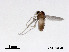  ( - XL2090)  @11 [ ] CreativeCommons - Attribution Non-Commercial Share-Alike (2019) Xiaolong Lin College of Life Sciences, Nankai University