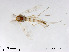  ( - XL2095)  @11 [ ] CreativeCommons - Attribution Non-Commercial Share-Alike (2019) Xiaolong Lin College of Life Sciences, Nankai University