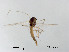  ( - XL2139)  @12 [ ] CreativeCommons - Attribution Non-Commercial Share-Alike (2019) Xiaolong Lin College of Life Sciences, Nankai University