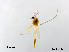  ( - XL2150)  @11 [ ] CreativeCommons - Attribution Non-Commercial Share-Alike (2019) Xiaolong Lin College of Life Sciences, Nankai University