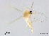  ( - XL2341)  @11 [ ] CreativeCommons - Attribution Non-Commercial Share-Alike (2019) Xiaolong Lin College of Life Sciences, Nankai University