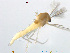  ( - XL275)  @11 [ ] CreativeCommons - Attribution Non-Commercial Share-Alike (2018) Xiaolong Lin College of Life Sciences, Nankai University
