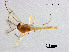 ( - XL2783)  @12 [ ] CreativeCommons - Attribution Non-Commercial Share-Alike (2019) Xiaolong Lin College of Life Sciences, Nankai University