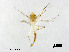  ( - XL2967)  @11 [ ] CreativeCommons - Attribution Non-Commercial Share-Alike (2019) Xiaolong Lin College of Life Sciences, Nankai University