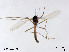  ( - XL2999)  @11 [ ] CreativeCommons - Attribution Non-Commercial Share-Alike (2019) Xiaolong Lin College of Life Sciences, Nankai University