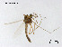  ( - XL3010)  @11 [ ] CreativeCommons - Attribution Non-Commercial Share-Alike (2019) Xiaolong Lin College of Life Sciences, Nankai University