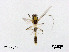  ( - XL3048)  @12 [ ] CreativeCommons - Attribution Non-Commercial Share-Alike (2019) Xiaolong Lin College of Life Sciences, Nankai University