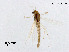  ( - XL3086)  @11 [ ] CreativeCommons - Attribution Non-Commercial Share-Alike (2019) Xiaolong Lin College of Life Sciences, Nankai University