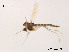  ( - XL747)  @11 [ ] CreativeCommons - Attribution Non-Commercial Share-Alike (2019) Xiaolong Lin College of Life Sciences, Nankai University