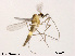  ( - XL752)  @11 [ ] CreativeCommons - Attribution Non-Commercial Share-Alike (2018) Xiaolong Lin College of Life Sciences, Nankai University