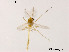  ( - XL786)  @12 [ ] CreativeCommons - Attribution Non-Commercial Share-Alike (2019) Xiaolong Lin College of Life Sciences, Nankai University