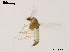  ( - XL789)  @11 [ ] CreativeCommons - Attribution Non-Commercial Share-Alike (2019) Xiaolong Lin College of Life Sciences, Nankai University