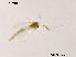  ( - XL798)  @11 [ ] CreativeCommons - Attribution Non-Commercial Share-Alike (2019) Xiaolong Lin College of Life Sciences, Nankai University