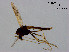  ( - XL860)  @11 [ ] CreativeCommons - Attribution Non-Commercial Share-Alike (2019) Xiaolong Lin College of Life Sciences, Nankai University