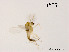 ( - XL929)  @11 [ ] CreativeCommons - Attribution Non-Commercial Share-Alike (2019) Xiaolong Lin College of Life Sciences, Nankai University
